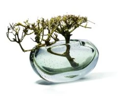 Amara Vase Quer Philippi