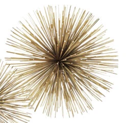 Riccio Deko-Stern M Philippi