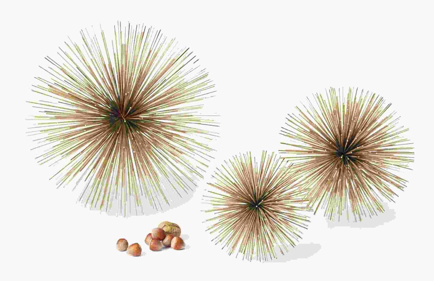 Riccio Deko-Stern S Philippi – Bild 2